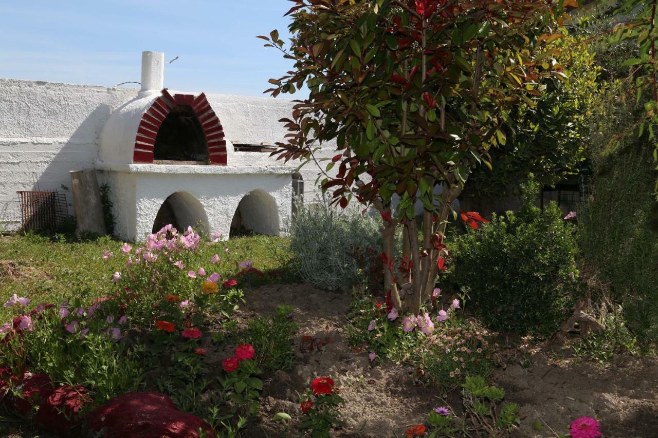 فوركا Betahomes- Summer المظهر الخارجي الصورة